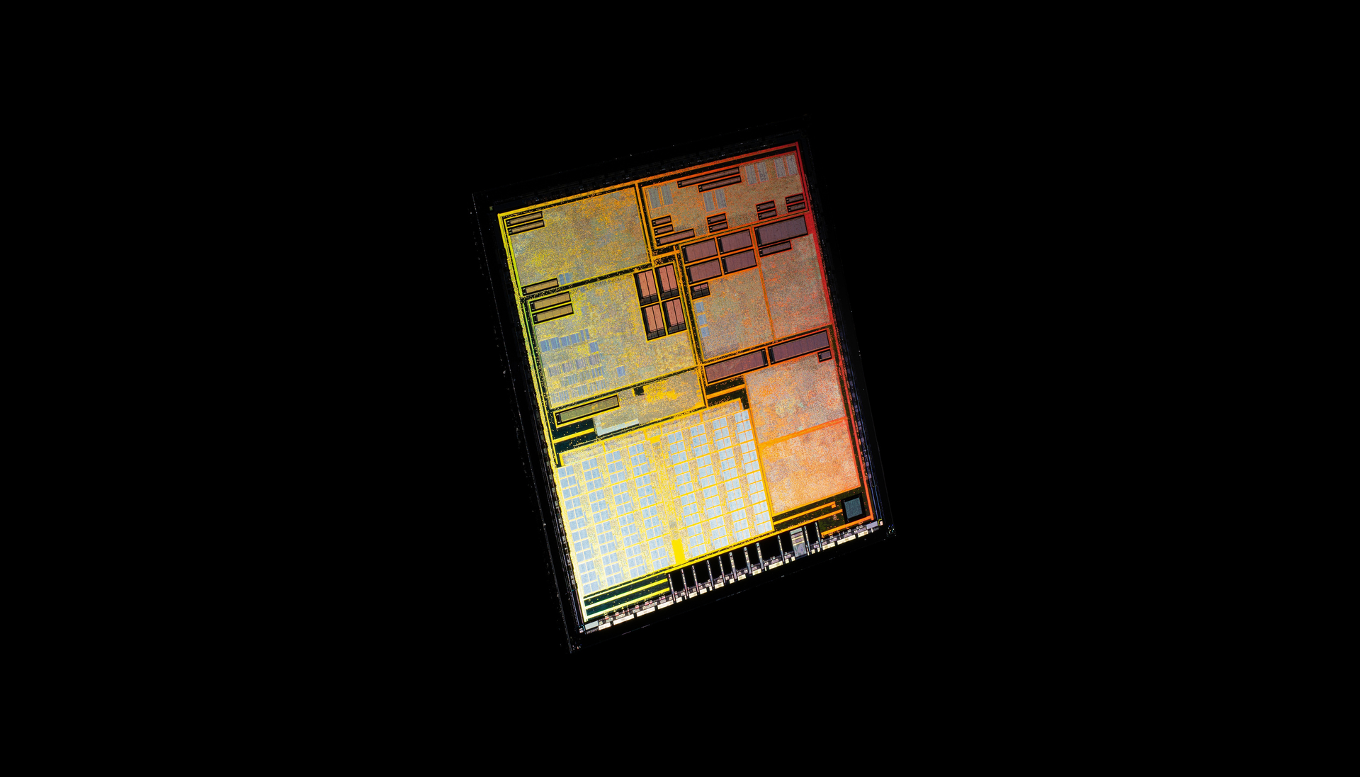 Macro_Die_Shot