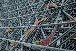 Microfilaments Microfilaments