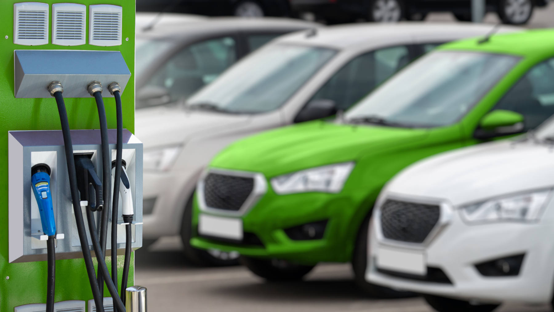 Dreamstime L 212656733 60d65ab053348