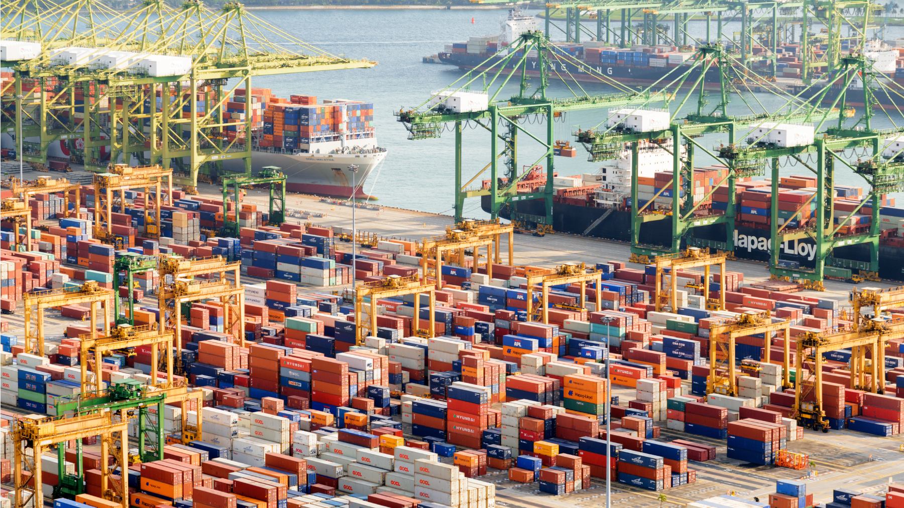 Dreamstime L 118569033 6160bc968ef20