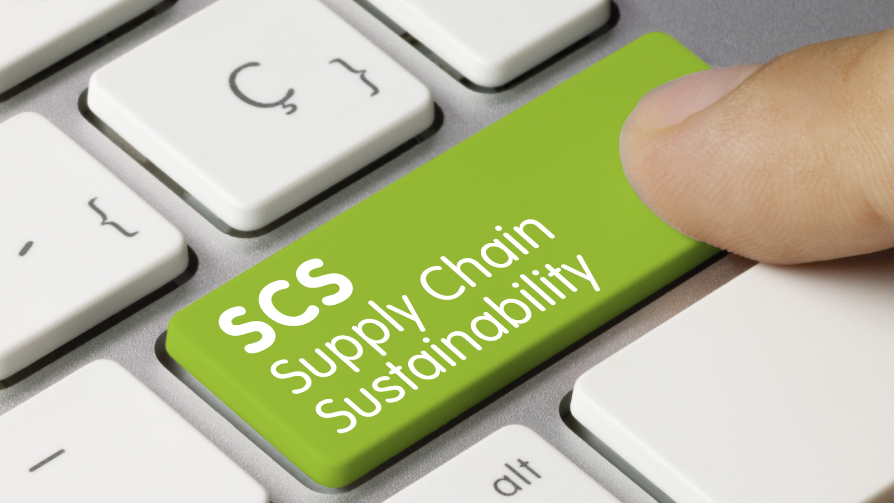 Dreamstime L 188959777 61801f2518d1f