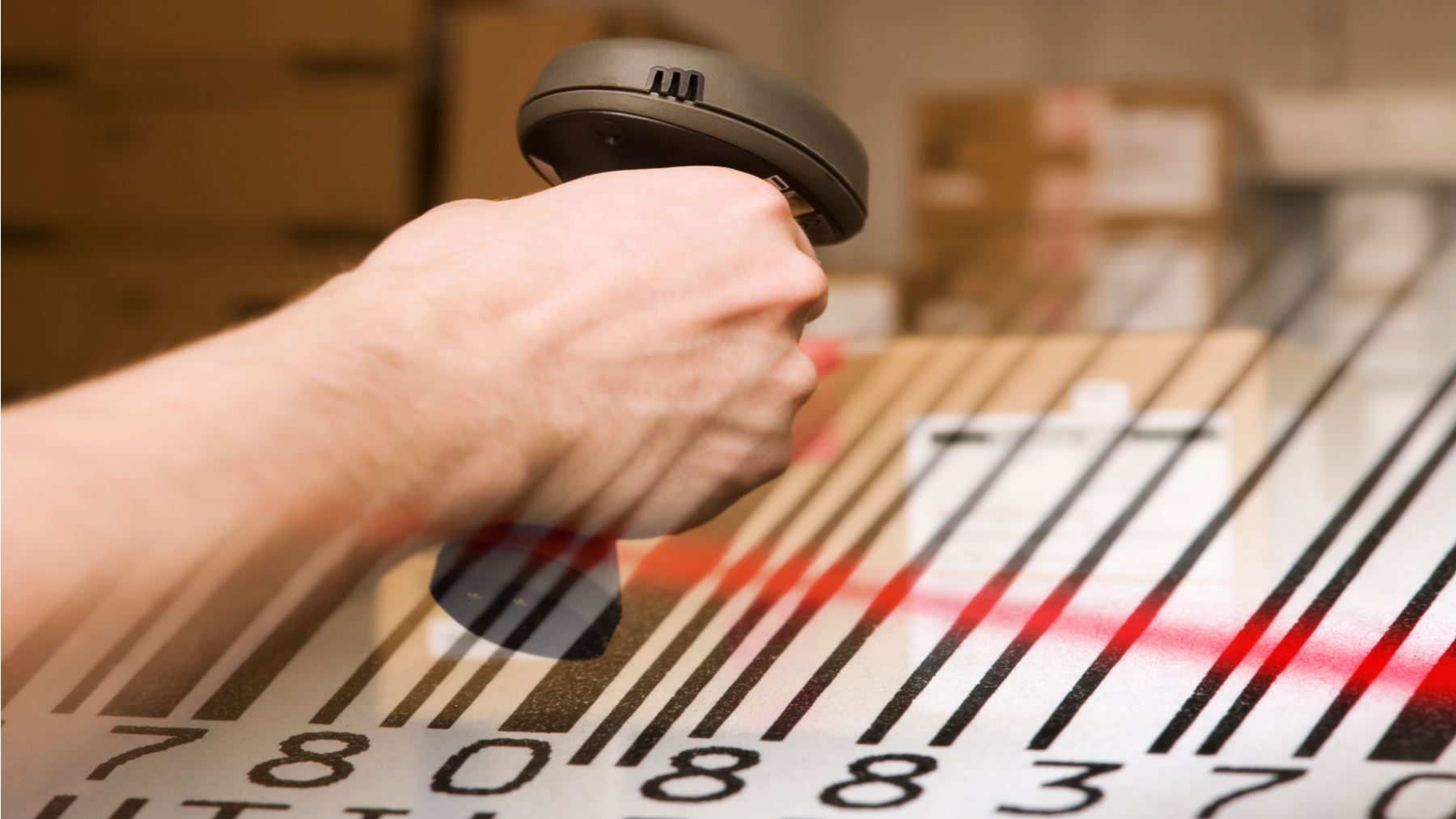 Dreamstime L 9106883 61b77e9ef0aee