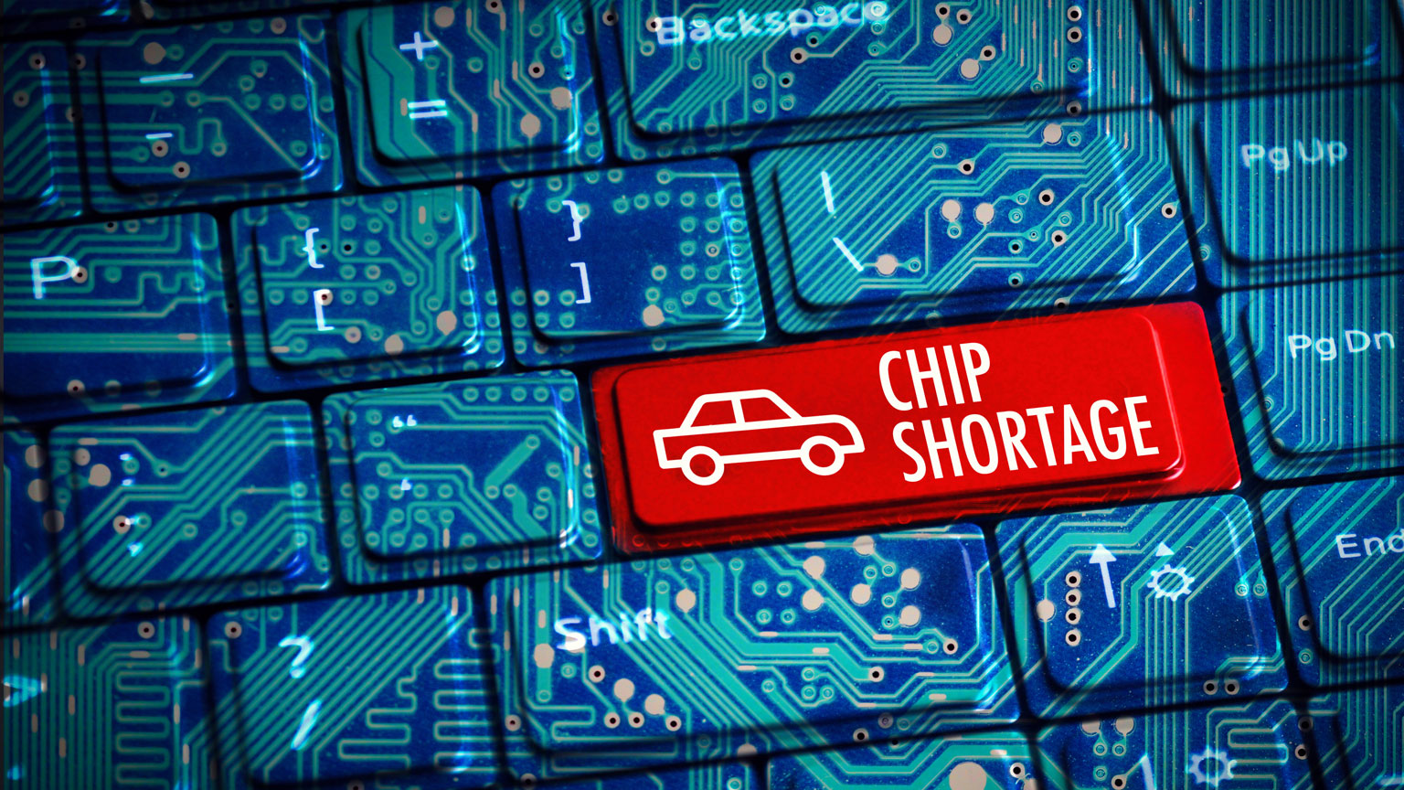 Promo Curl Pad 62c5d255ac3c2