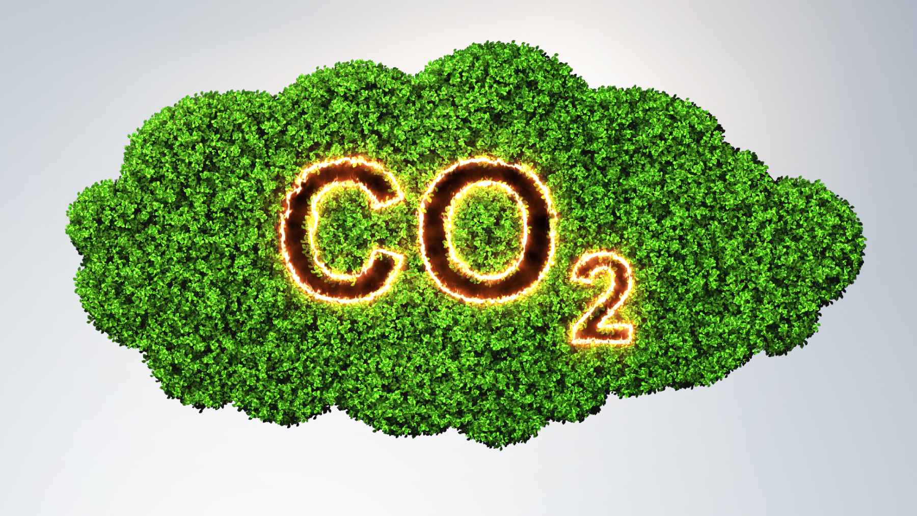 Dreamstime L 141730536 63cae5732345f