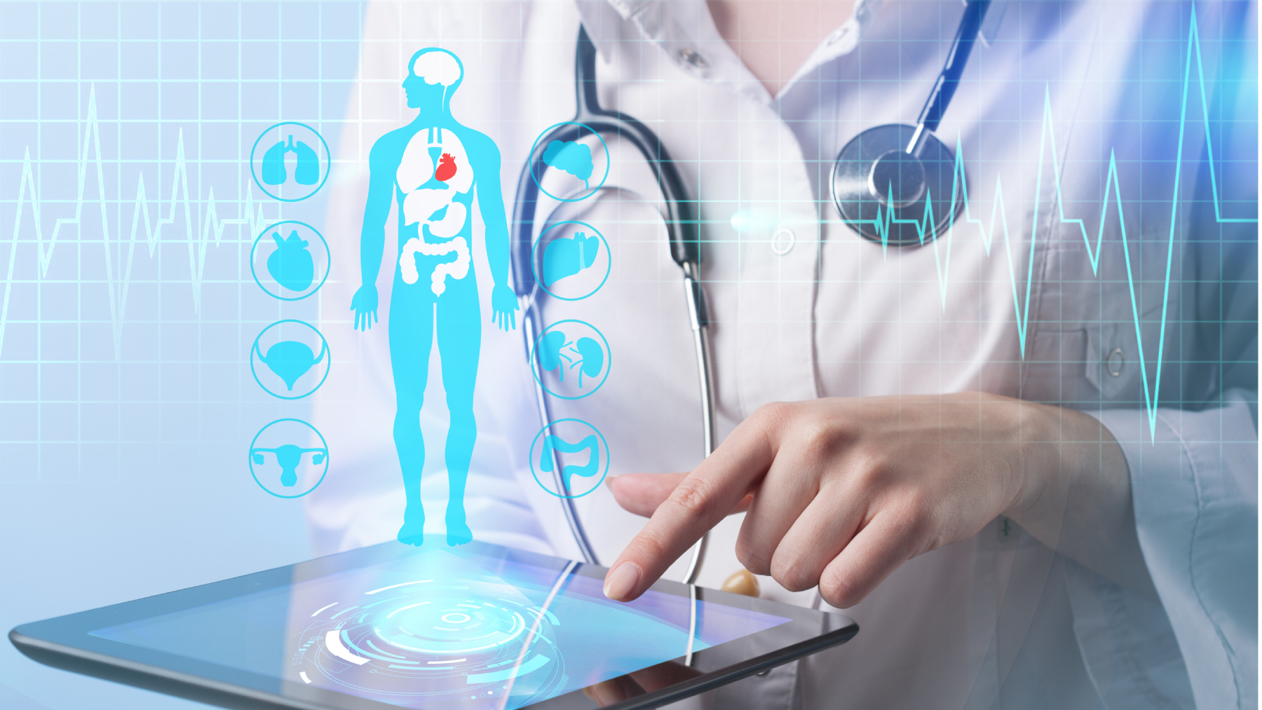 Dreamstime L 90219055 63fcb3c55b448