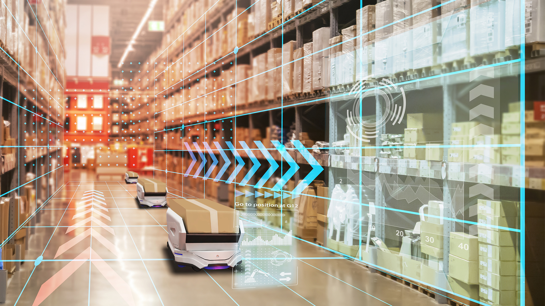 281817613 Oselotemai Dreamstime 649c7489810e9