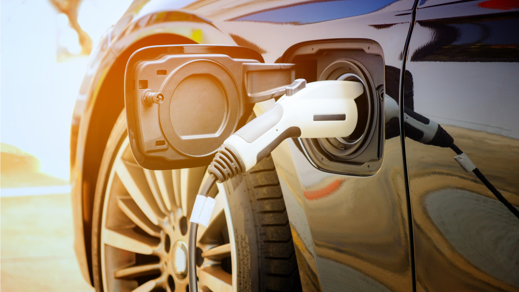 Dreamstime L 103315910 648720647e255