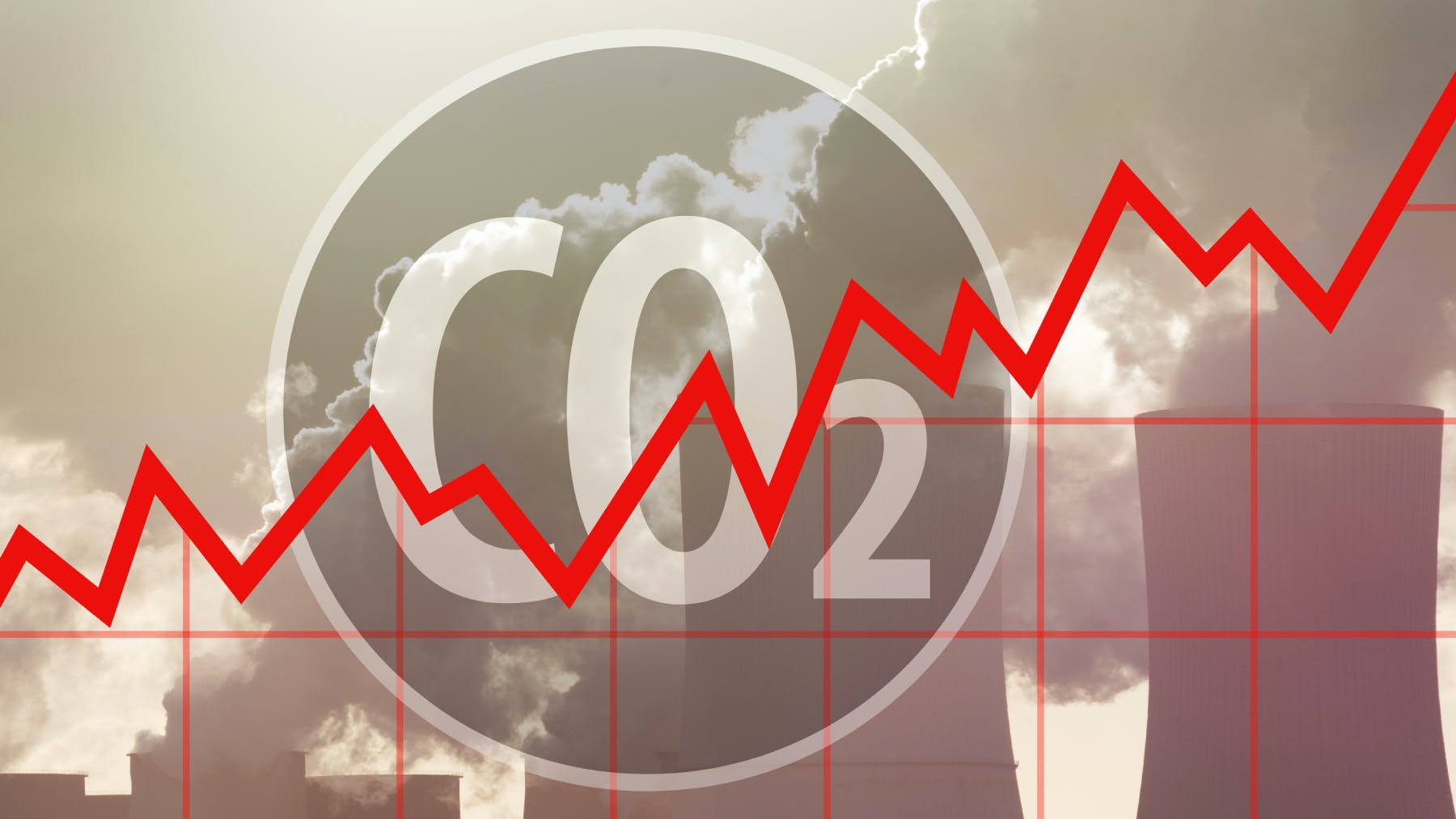 6582f57814641d001e6a0229 Dreamstime L 200500876