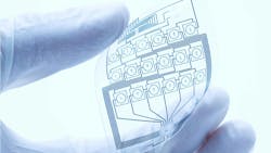 6663255eec046b9d37541db7 Dreamstime L 19841148 6663255eec046b9d37541db7 Dreamstime L 19841148