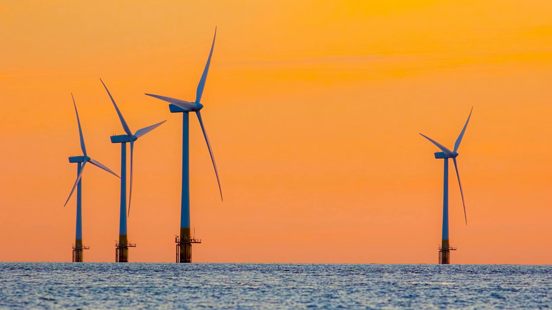 66c37c6ea9e8373438e11823 Dreamstime L 99453824