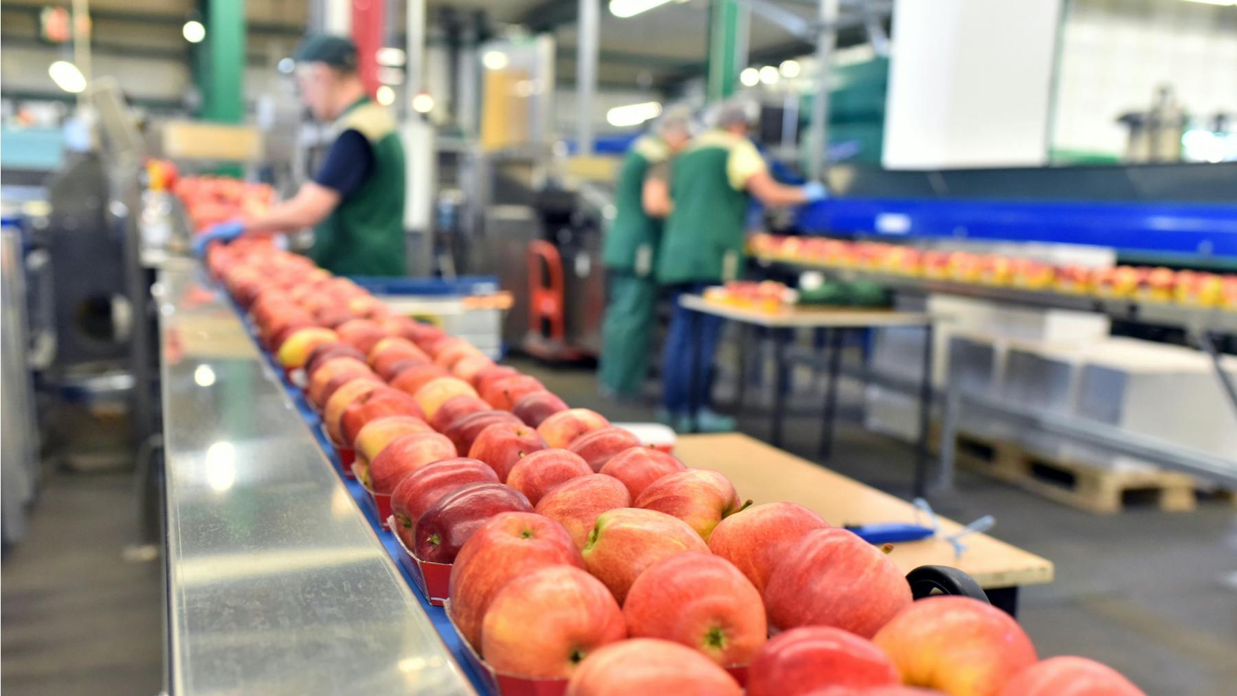 6705456bfd9767402fc568c1 Dreamstime L 187513000