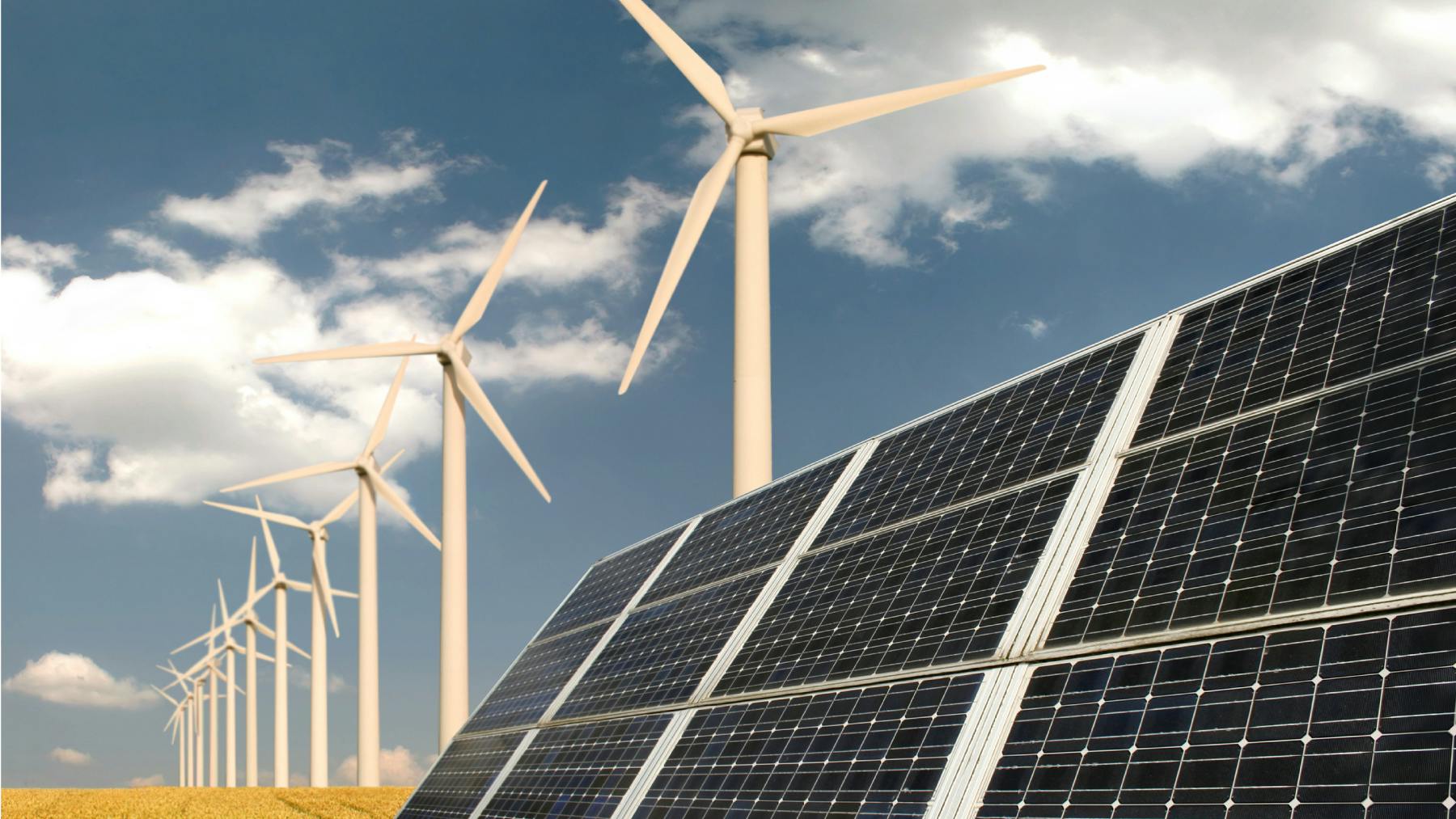 6776a7b7c5b5425ea99ec56d 16471944