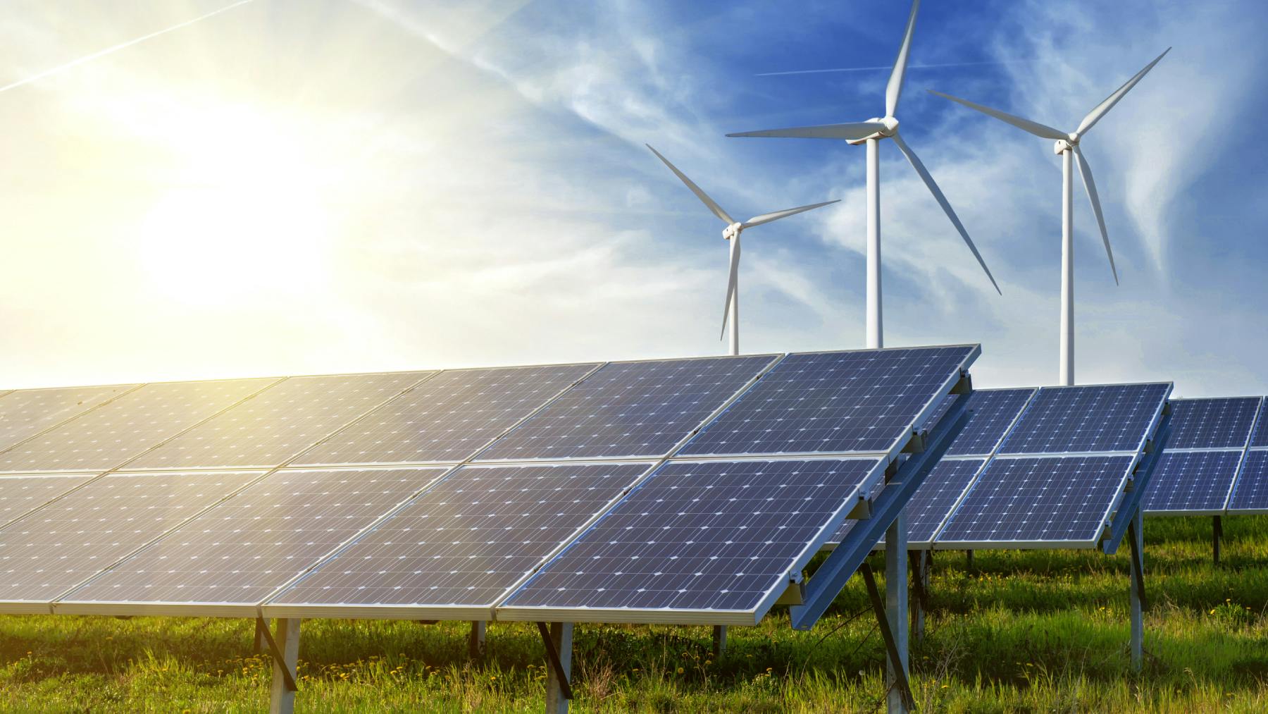 67bc9cc867473d26a69bea66 42629476