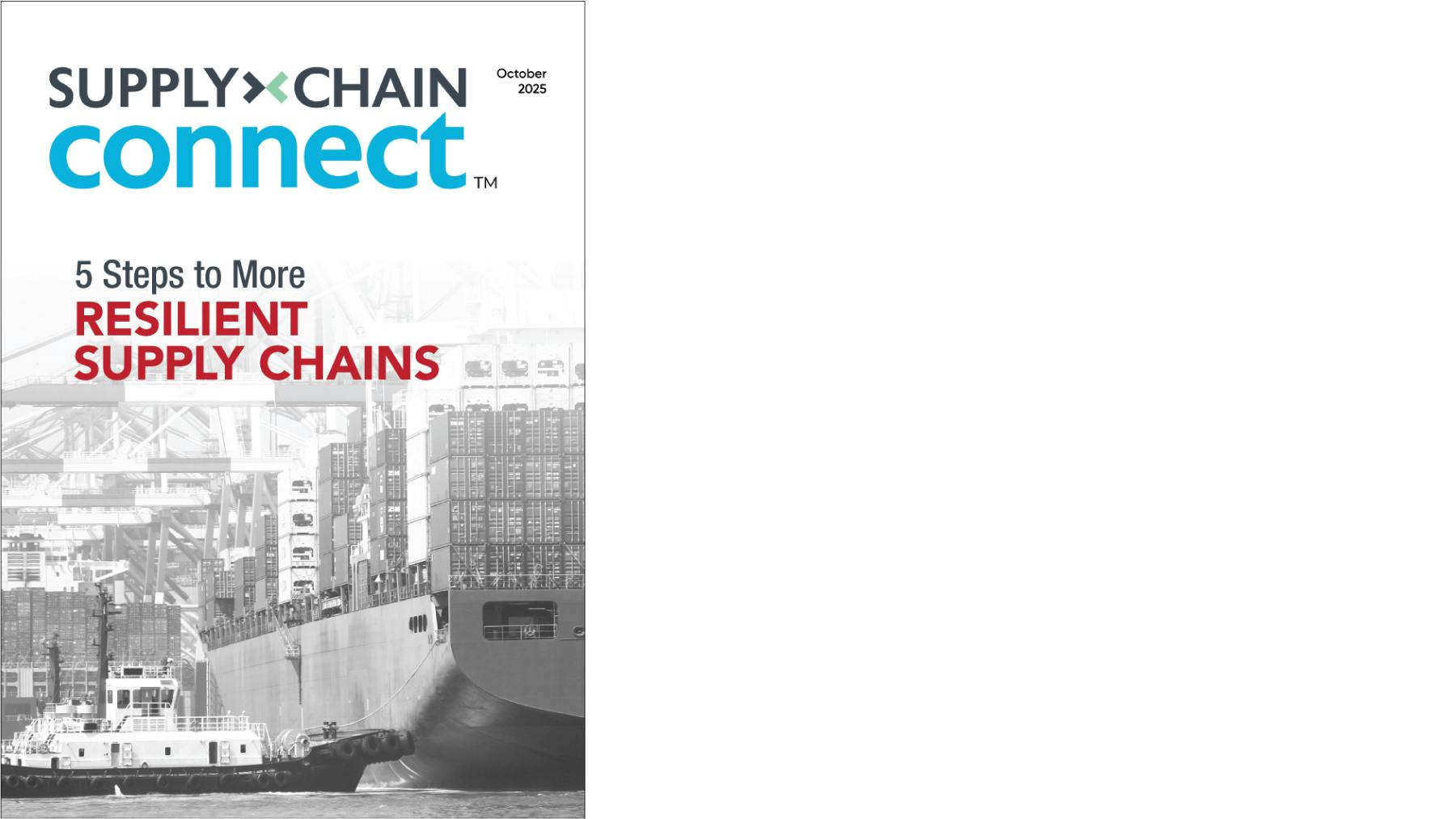 68ff9d1b006b6f12472a0401 October2025