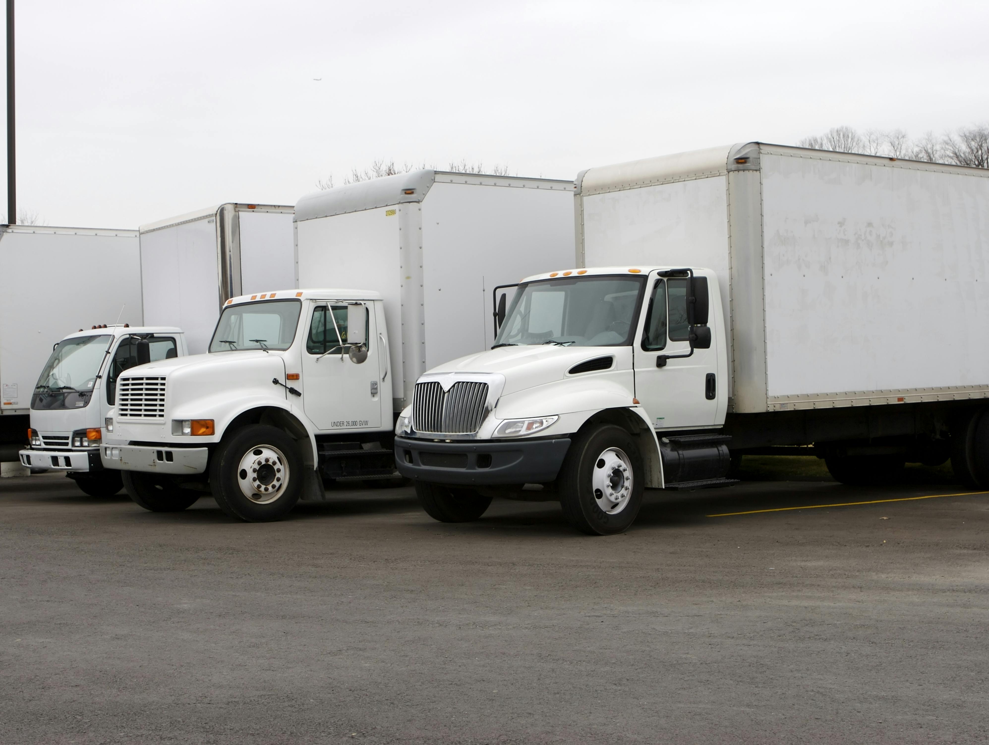 875565 Robert Pernell | Dreamstime